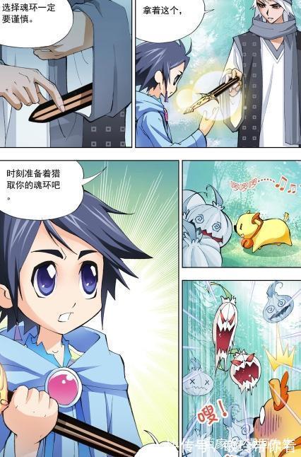 今生今世|斗罗大陆:魂兽与魂环的关系!大师的遗憾!
