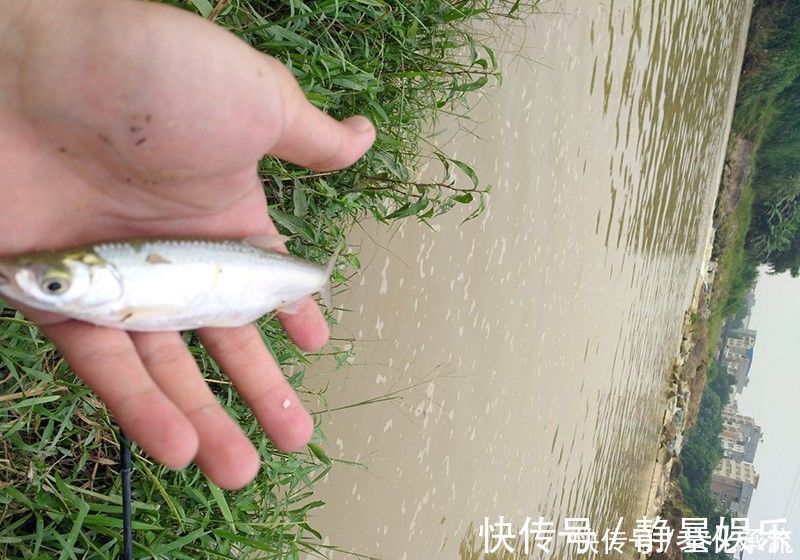 钓位|别人钓到鱼，你却钓不到，原因都在这里了，想知道的别错过