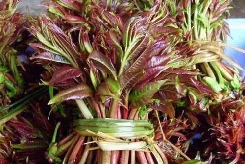 滋阴补阳|对身体最好的3种食物，营养丰富、延缓衰老，有益健康！