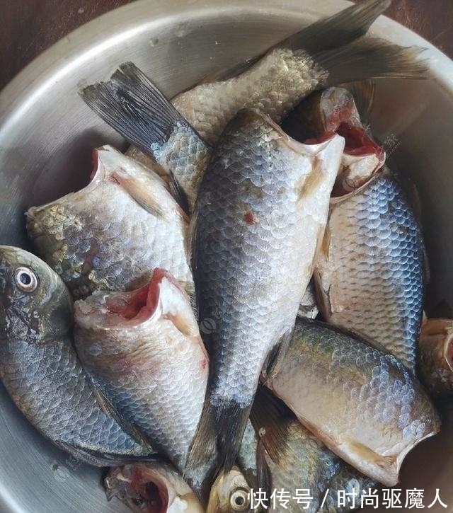 香酥鱼|香酥鲫鱼，一道解决鲫鱼如何烹制的菜品