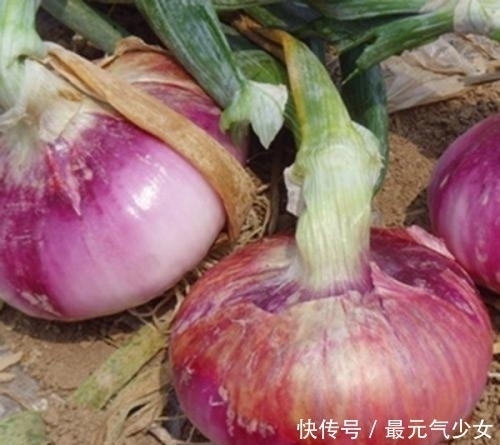 超市|超市看到此种洋葱，最好不要买，买了也不要吃，告诉身边人！