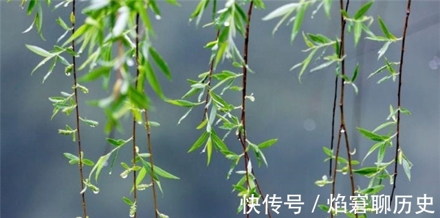 春雨$春雨相思词:柳丝长,春雨细,梦长君不知