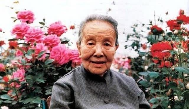 林徽因$被张爱玲讽刺,被林徽因怼,被鲁迅瞧不起,为何她们都看不惯冰心