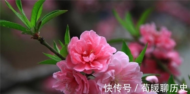 汉武帝!李商隐碧桃二首,遇见一个人,牵起前生今世