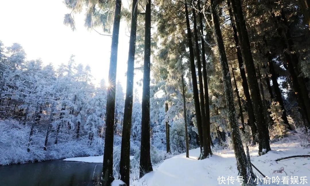 雪景|遂昌大美雪景图！让你一次看个够