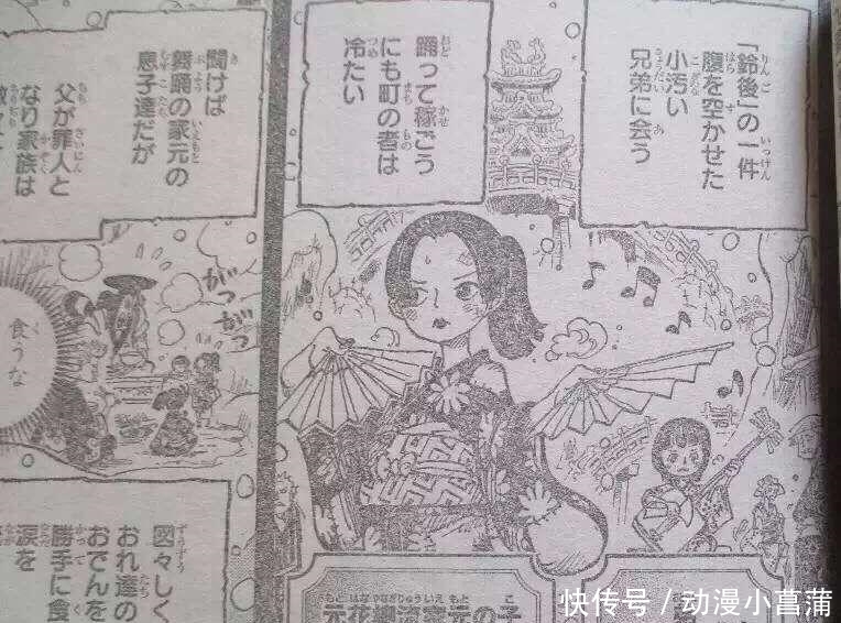 大妈|海贼王962情报:小菊男儿身又实锤,年轻大妈露脸,和女帝谁更美
