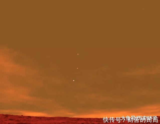 电子显微镜 22张“活久见”的照片,令人大开眼界!