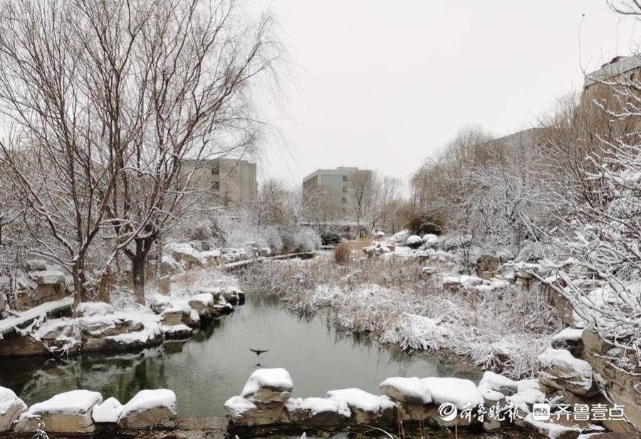 大学生|大雪下的驻济学生：校园里肆无忌惮滚雪球，那是我们的青春啊