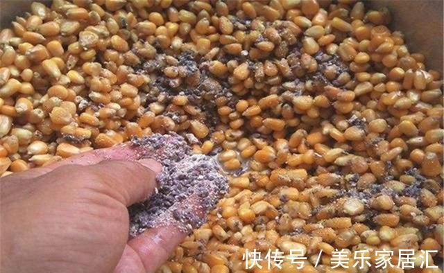 立冬了，到了钓大鲫鱼的时候，分享几个窝料配方，抢鱼快人一步