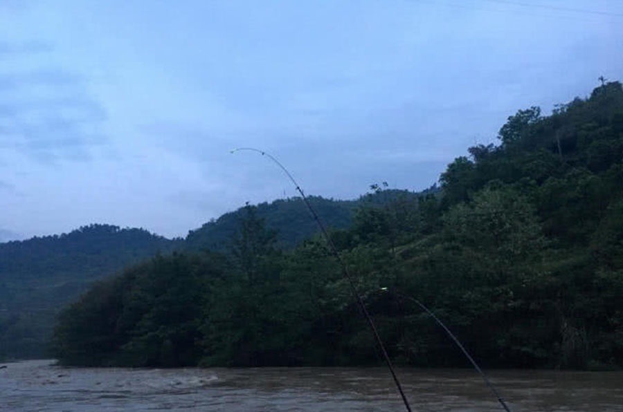 洪水过后去钓鱼,这么大的黄颡鱼,还是头一次钓获