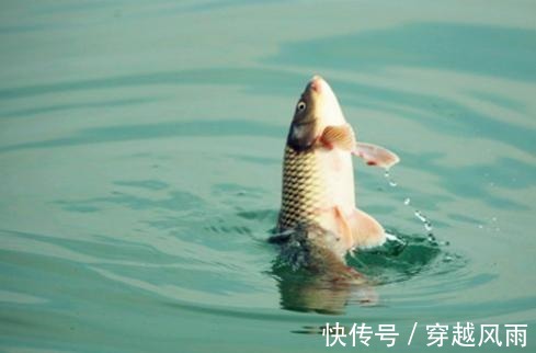 鱼窝|冬钓找不到鱼窝 教你3招, 新手也能快速找到鱼窝子, 提竿就中鱼!