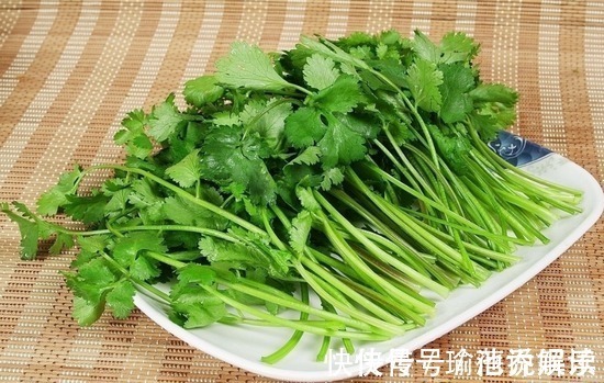 香菜配上它,肚腩没了,腰也不痛了!女人不想满脸皱纹,可以试试