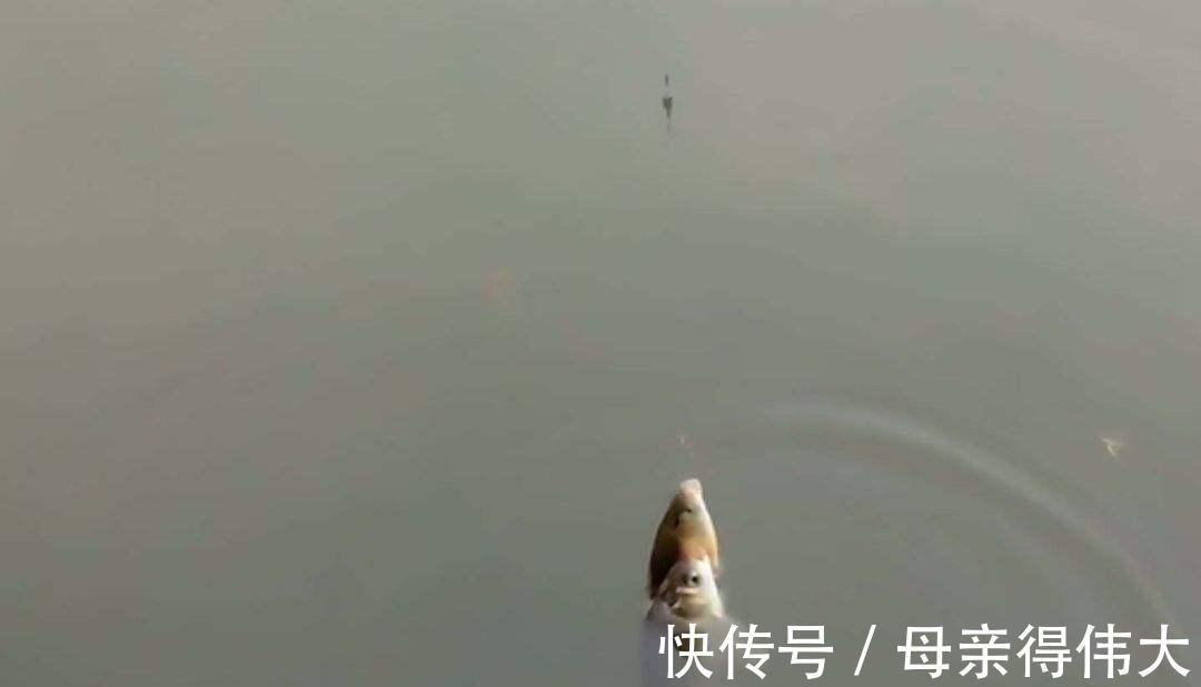冬天钓到鲫鱼不难,想要钓到大鲫鱼,还得用这些基本功才行
