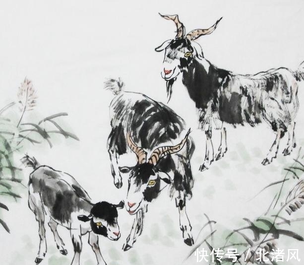 生肖兔|9月底,摆脱霉运,苦尽甜来,3生肖遇上好兆头,出门迎喜气