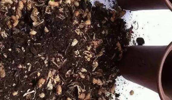 养花没那么顺利,碰上“土壤板结”怎么办撒点废料,很好解决