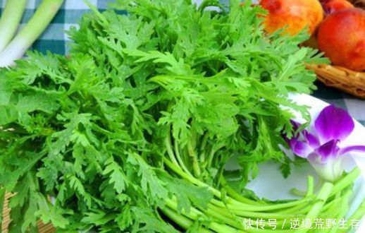 女性不想子宫“脏脏的”,多吃3种食物,排出毒素,滋养女性子宫