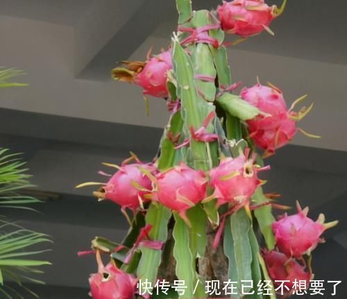 养颜|冬天要坚持多吃3种食物,排毒养颜、改善体质,早吃早好!