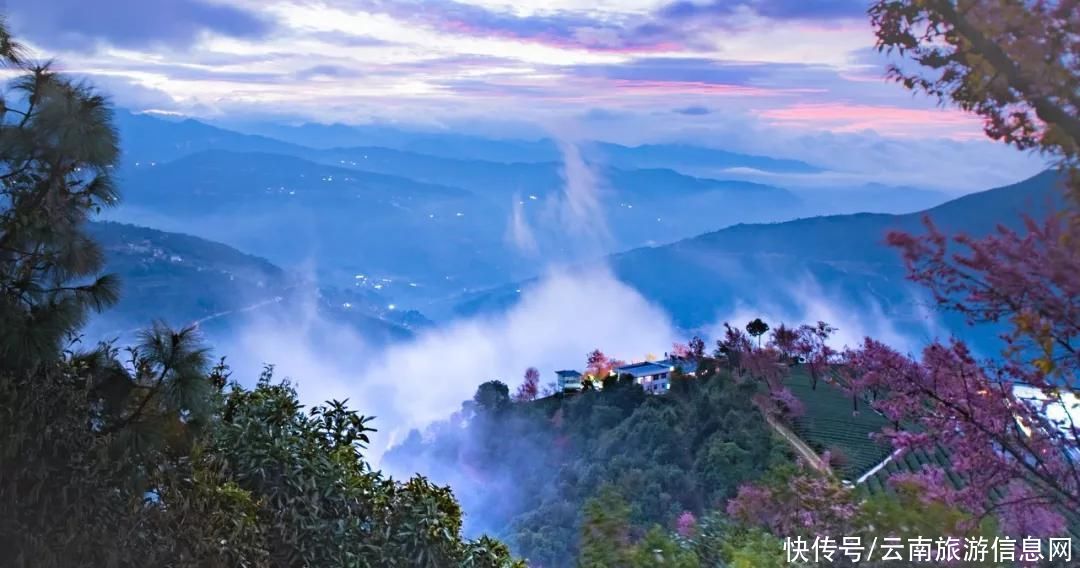 樱花|无量山2000亩的樱花开了，等你来