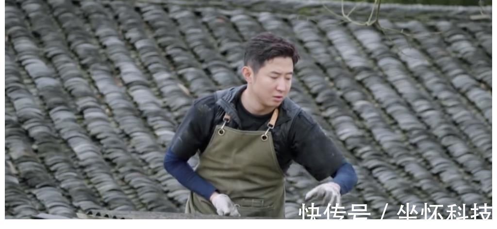 女生日记|《向往5》开播至今,两位最受欢迎的飞行嘉宾出炉,杨紫占据一席