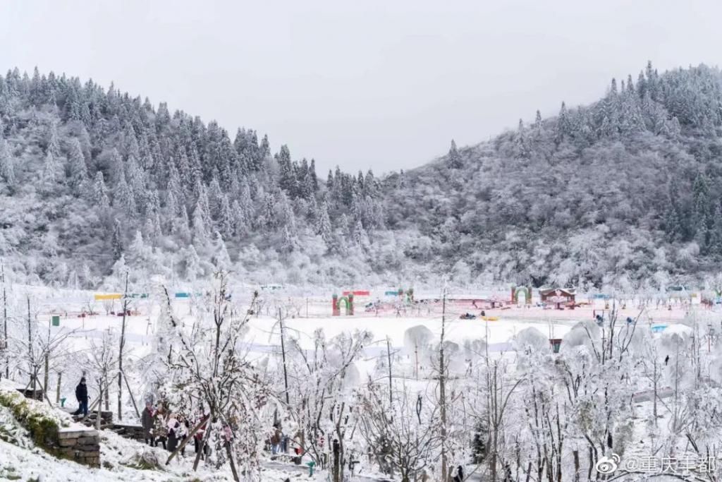 1小时飙拢！去重庆看雪！云海雪山森林，下山还能泡温泉！