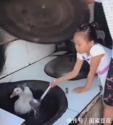 小棉袄|小女孩烧鹅煮饭给父亲吃,父亲听后很感动,揭开锅盖后却傻了眼