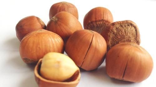 东北山里的号称“干果之王”的山货，榛子，营养很高，你喜欢么