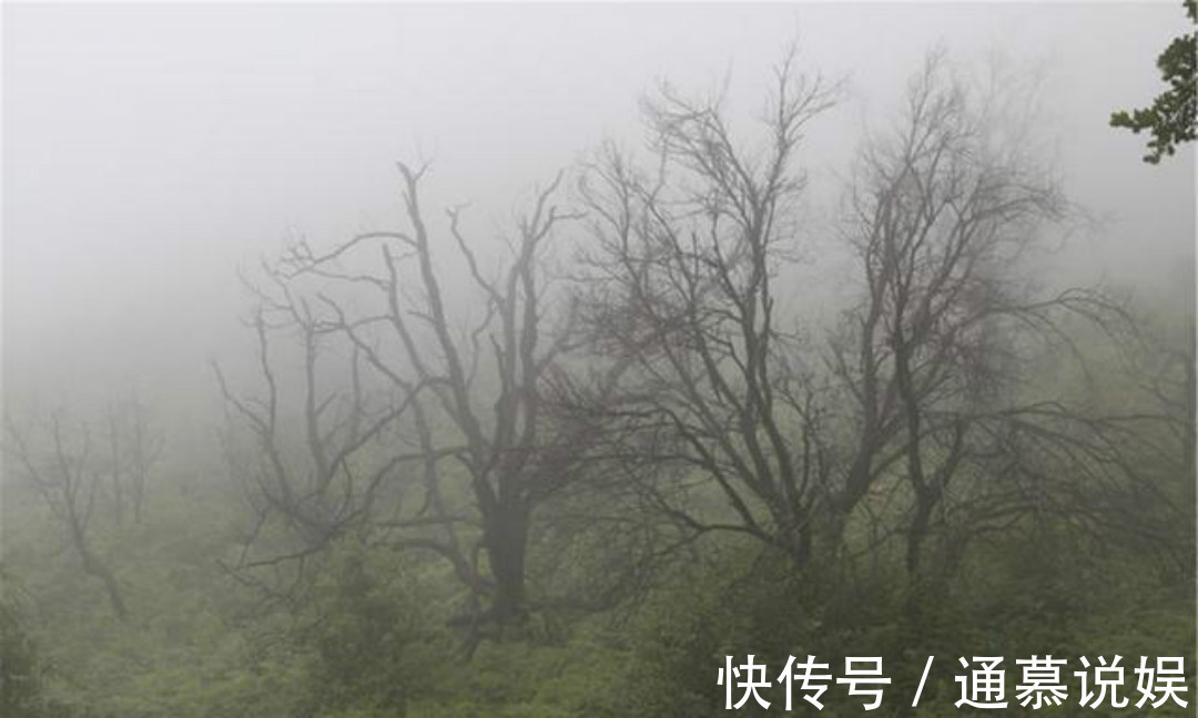 秋夜独坐&王维晚年写下的这首禅诗，通篇意境高远，同时每一句都有大智慧！