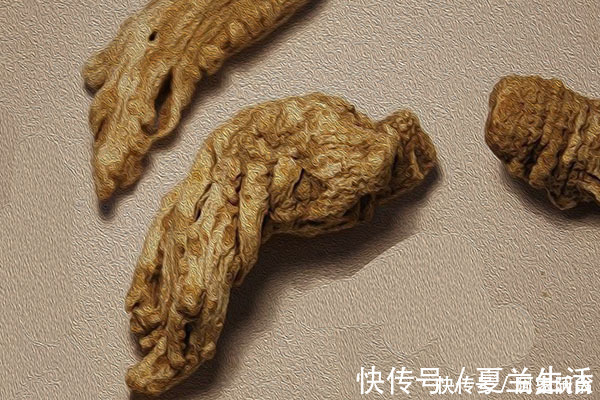 补气|用黄芪泡水喝,有3点事项需注意,倘若忽视,可能会产生反效果