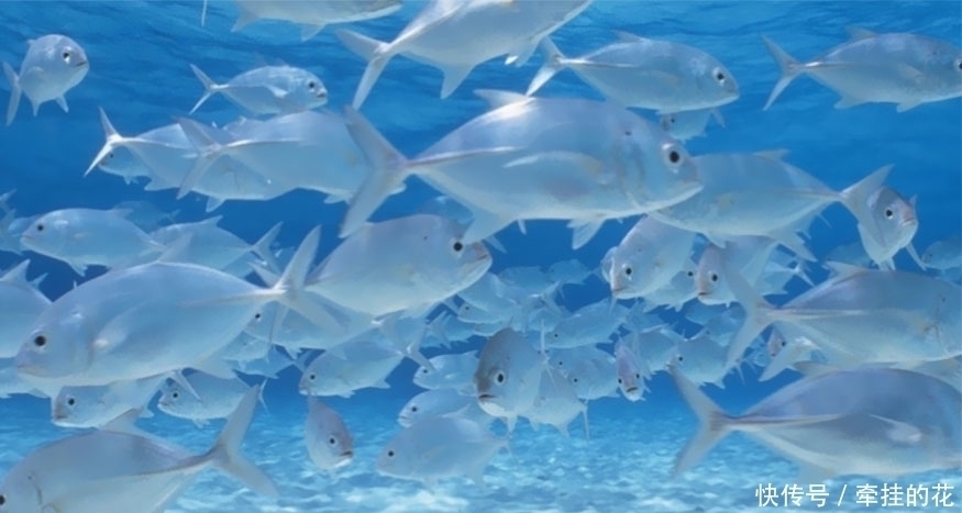 毛孔|晨起3个现象,或是衰老前兆,若一个不占,恭喜你还年轻