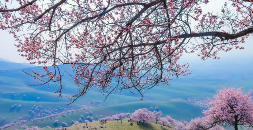 春色|王安石这首诗水平也很高,只用淡淡几笔,写出了不一样的春色美景