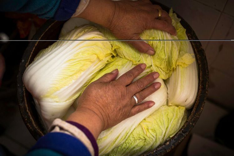 腌东北酸菜，不要直接抹盐，谨记3个诀窍，酸爽脆嫩，不会发霉