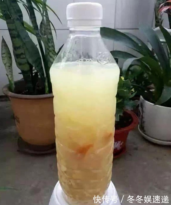 “一等养花肥”从不需花钱买,亲自动手制作,效果好还不烧苗