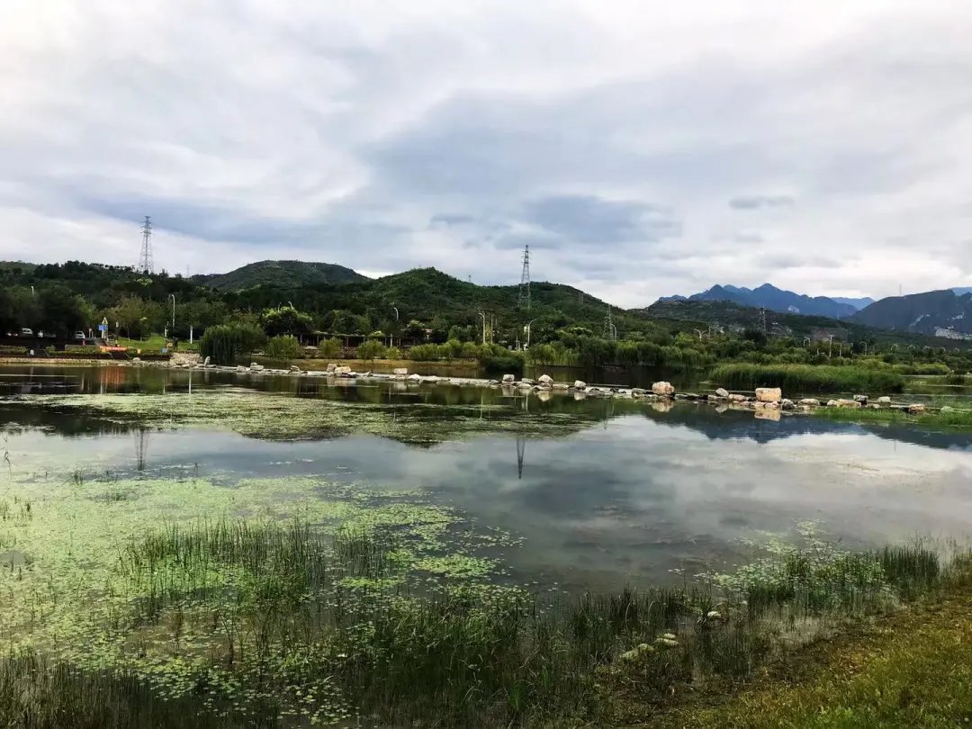 彩霞|彩霞与烟雨同在，仰望无限风光！