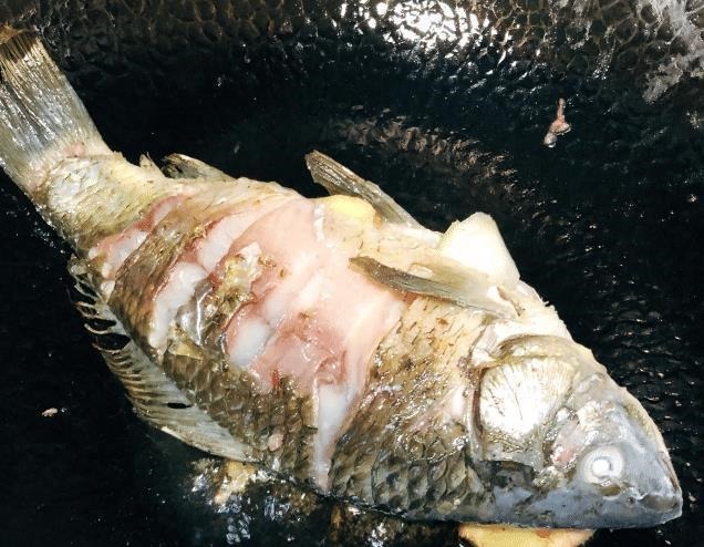 不管炖啥鱼汤，牢记别放“2料”，放错了鱼肉又柴又腥，鱼汤不鲜