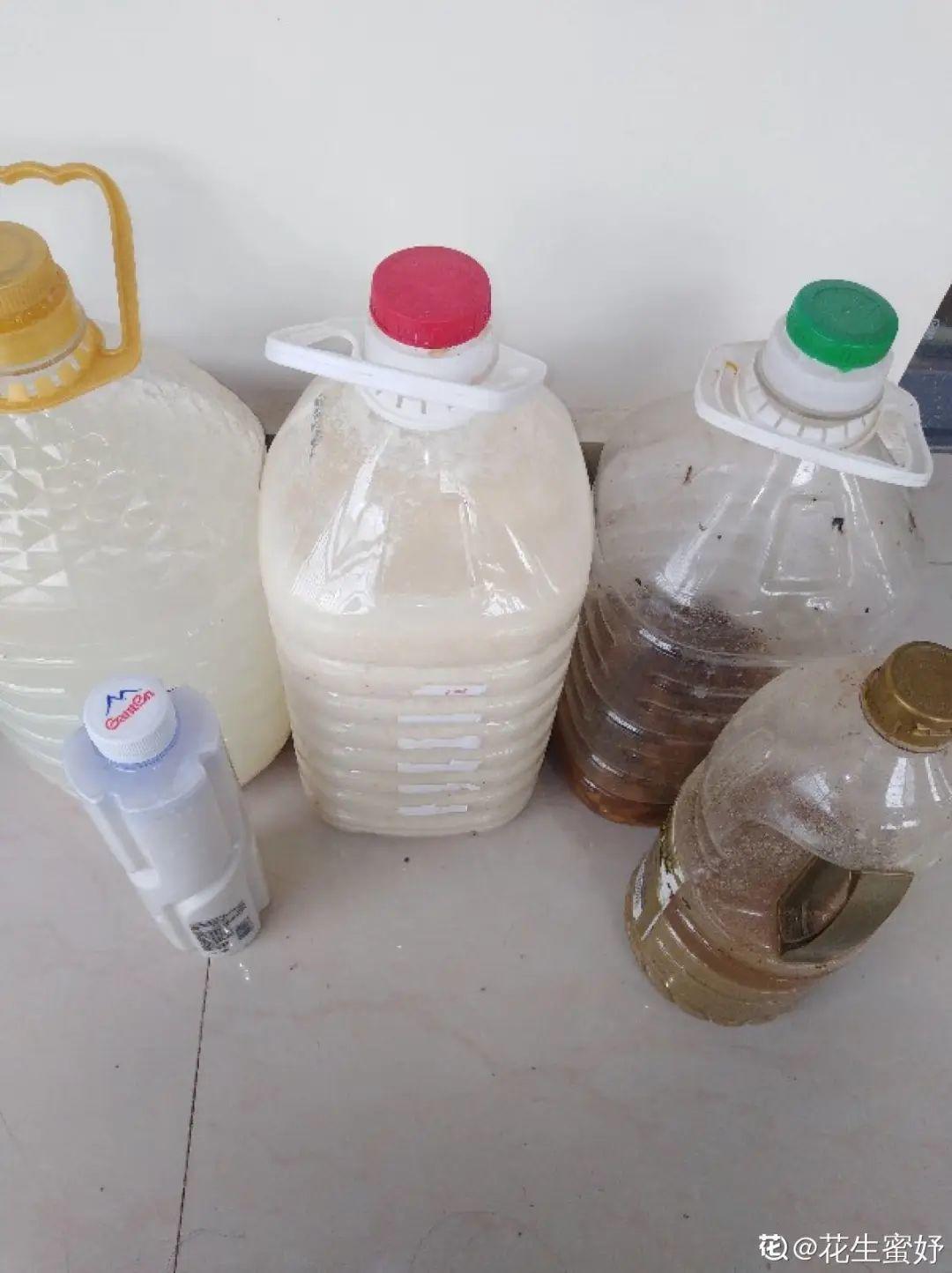 1个塑料瓶，居然有8种养花方法，省钱又好用！