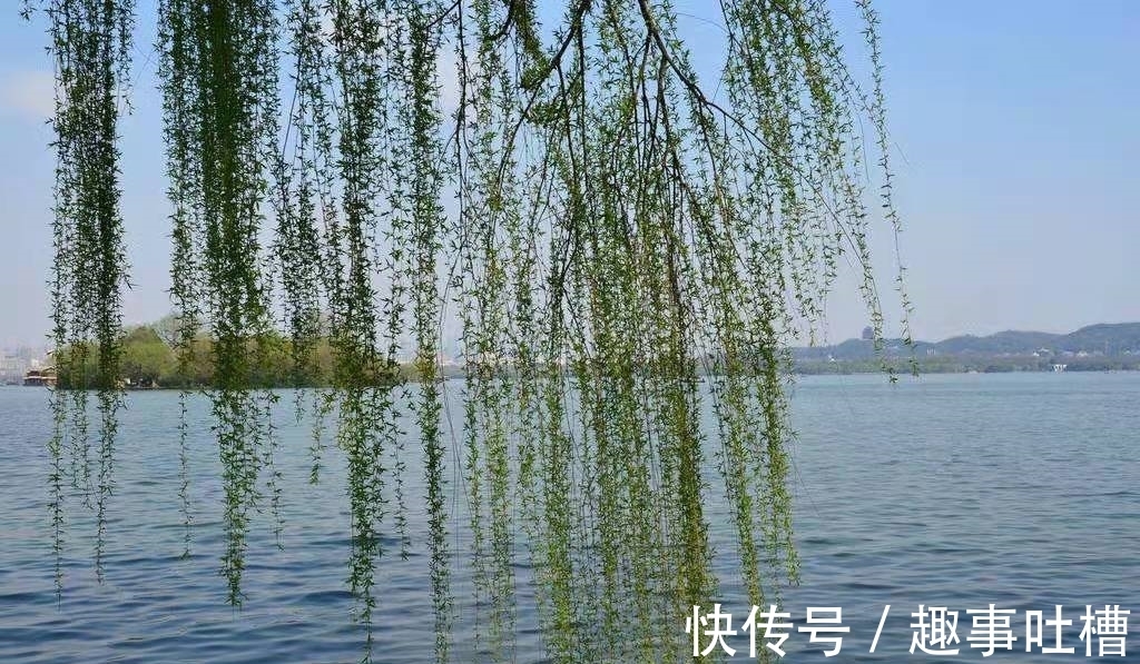无人种&有关咏物的四首诗,其中一首写得尤其耐品,值得一读