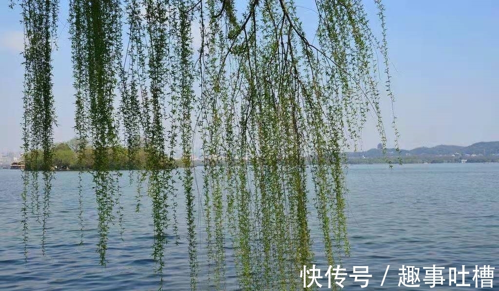 无人种&有关咏物的四首诗，其中一首写得尤其耐品，值得一读