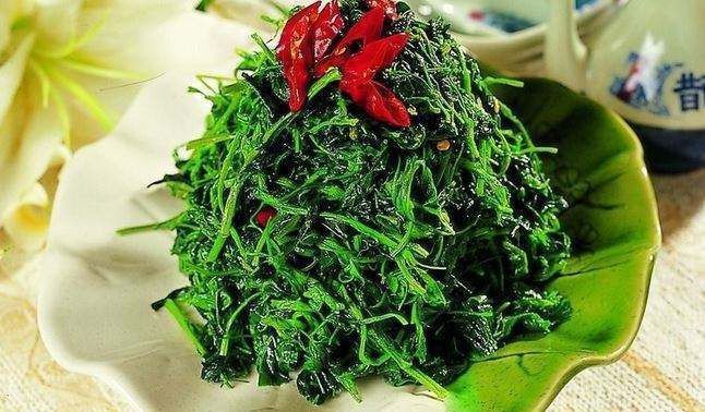 苜蓿芽菜|这菜有“营养”,一把种子发芽多,农村家家有,很充饥!