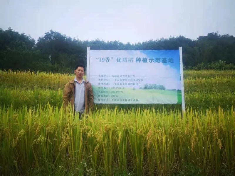 去世|水稻专家因病去世，年仅40岁！这一次，他又救了3人