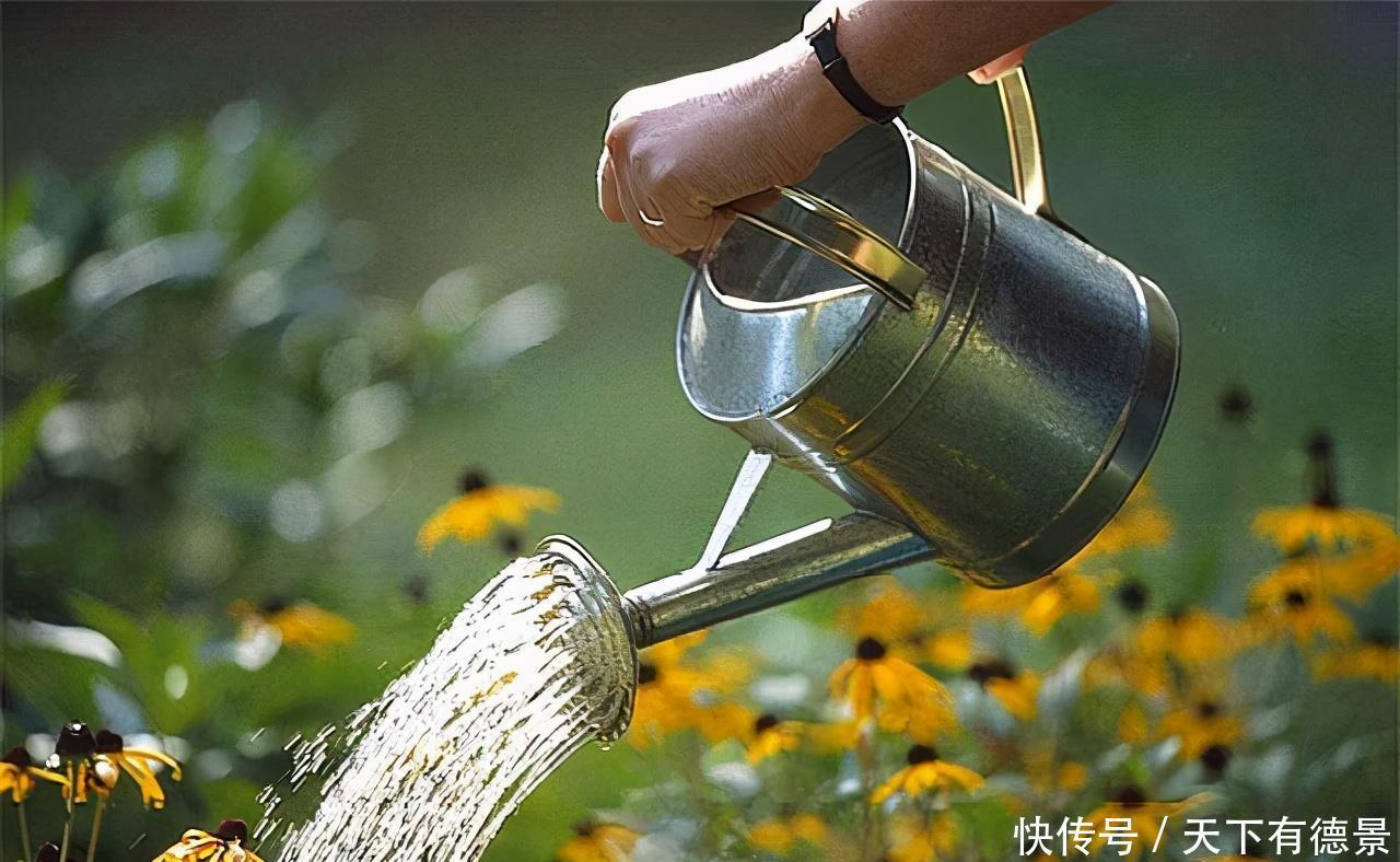 冬天给盆栽浇水，要注意三个方面，花儿更茁壮旺盛美丽