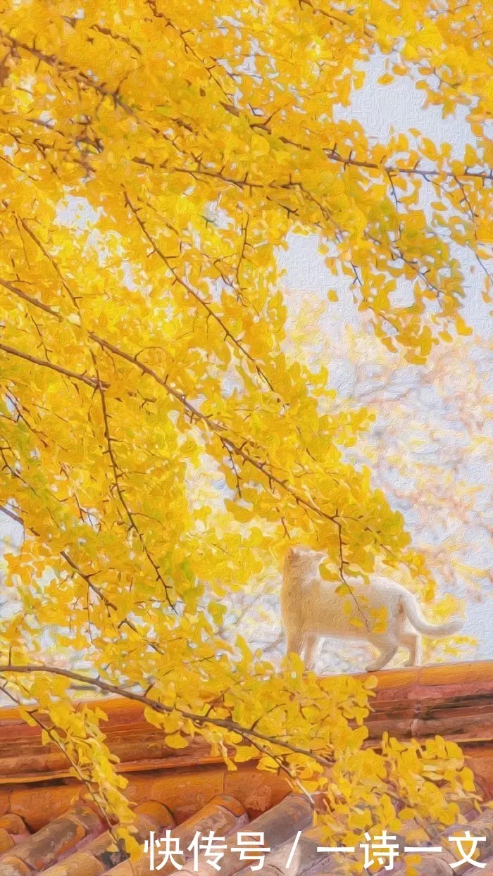 被爱当然很好,没有也没关系,该来的都会来,你值得最好的