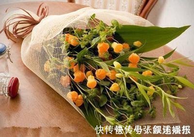 圣诞百合|此花犹如一串串灯笼挂树上，外形娇俏可爱，寓意着庆祝