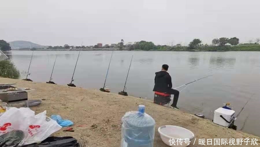 五谷杂食|千叮咛万嘱咐，库钓诱鱼唯独这套路才最靠谱，一般人都忽视了