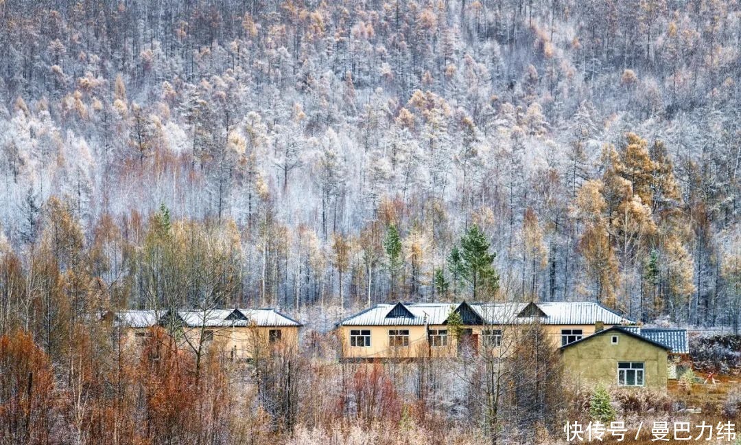 黑龙江|冬季旅游推荐-黑龙江漠河旅游，中国最美冬天的聚集地