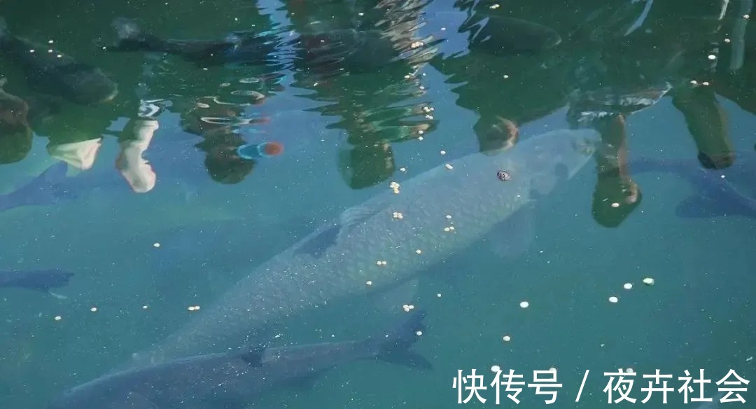 陌生水域找鱼的4个“独门绝技”，让你鱼口不停！钓鱼人一般都不想告诉别人！