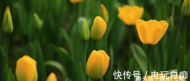 未来两周，“旧情难忘”，选择牵手复合的4大星座