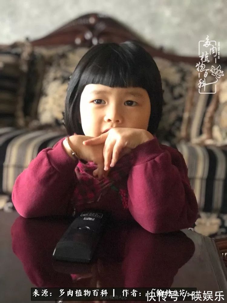 多肉花园梦青春正好,梦想趁早,别坐等自己变老!