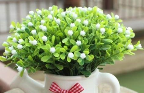 花都是浇死的1分钟学会如何判断盆土是否需要浇水了