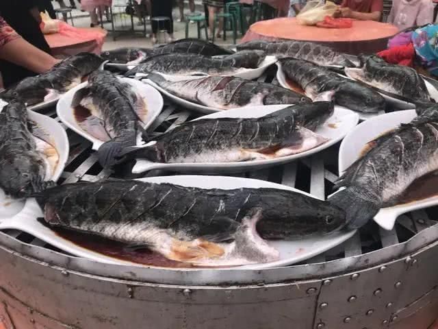 农村吃酒,酒席太丰盛,菜刚上桌,就把我吓坏了