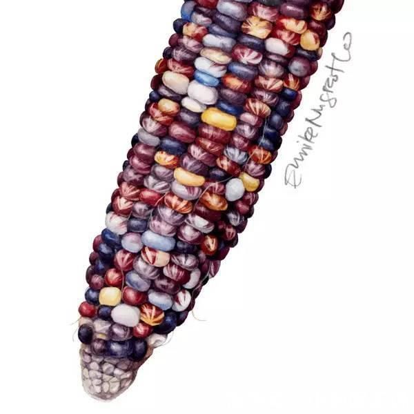 花卉#一位全职妈妈喜欢疯狂画画,教你画水彩花卉